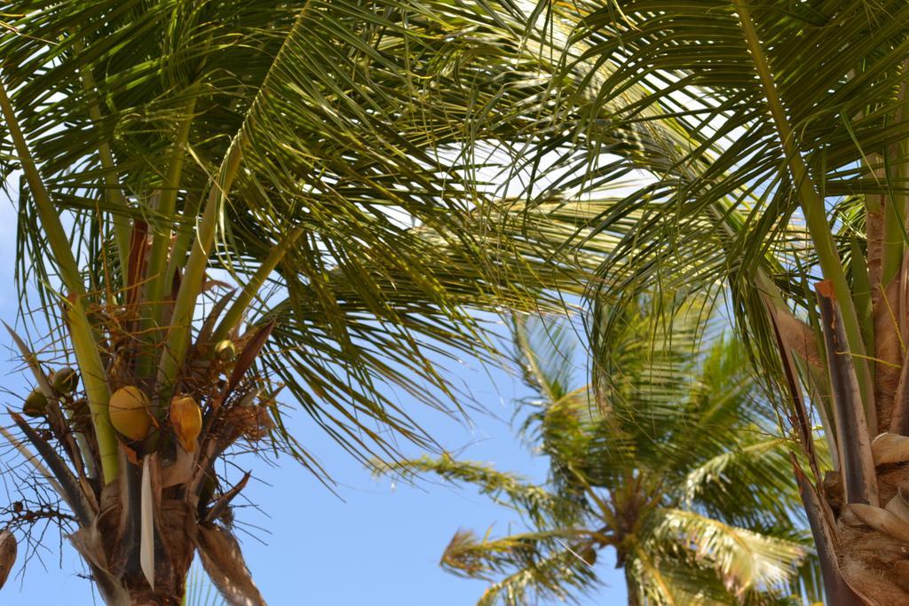 Lindbergh Bay Hotel Altona Εξωτερικό φωτογραφία